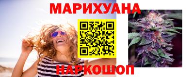 соль ск Новозыбков