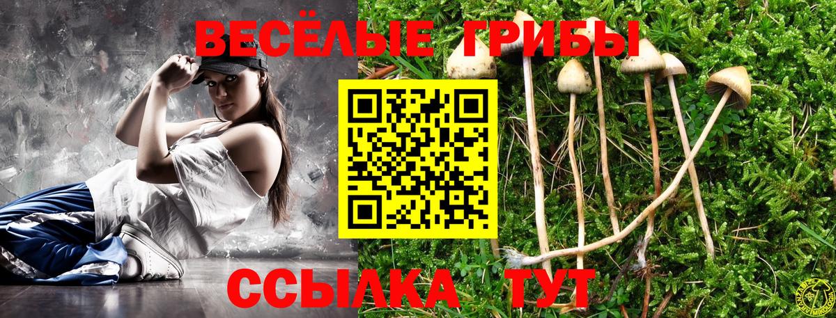 Псилоцибиновые грибы ЛСД Тимашёвск